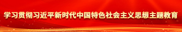 操逼网页。学习贯彻习近平新时代中国特色社会主义思想主题教育